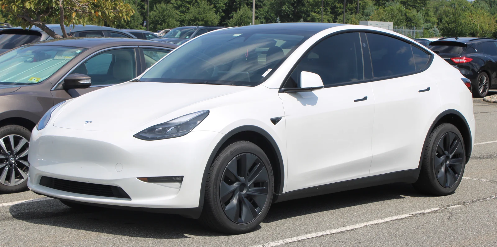 Tesla Model Y — фотография модели
