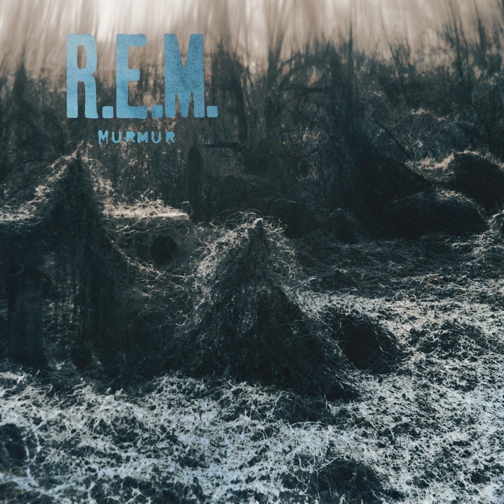 R.E.M. by Stipe — концерт Newcastle upon tyne