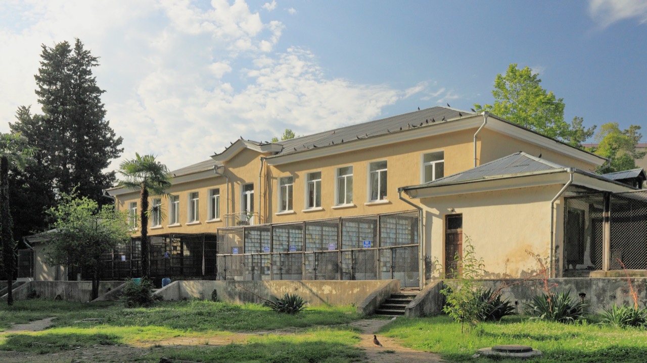 Сухумский обезьяний питомник