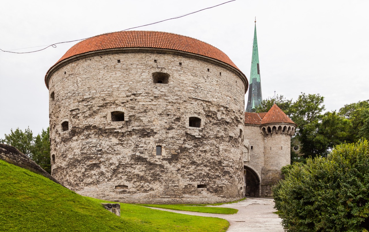 Толстая Маргарита